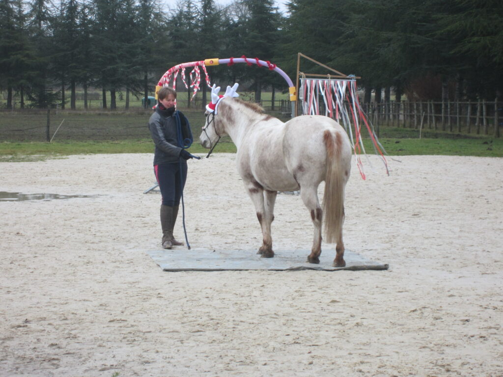 photo perso
Marie-Laure en petit concours de club