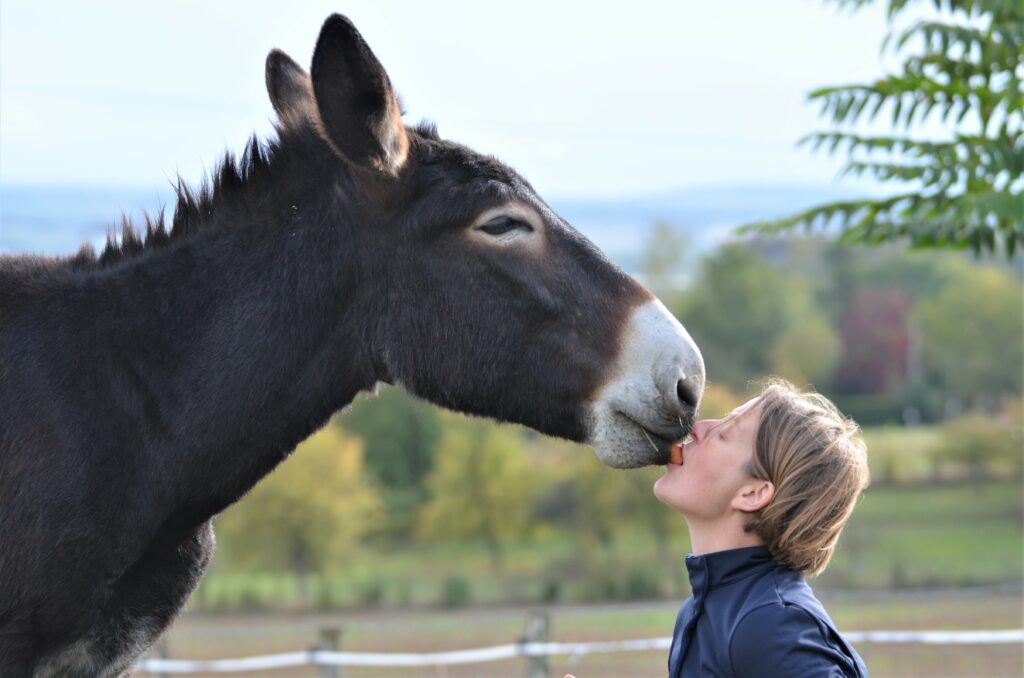 © Cécile Grandclaudon
Legend fait "Bisou maman"