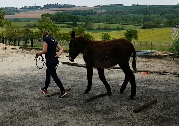 photo perso
Legend en passage de barre